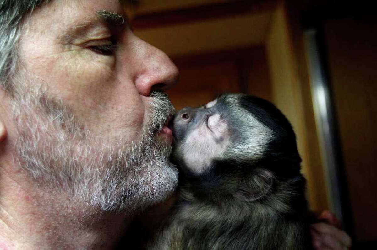 Monkey owners flee Louisiana crackdown