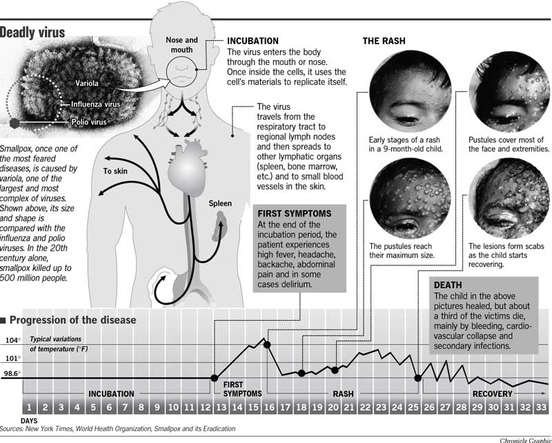 taking-stock-of-smallpox-viruses-public-health-experts-divided-on