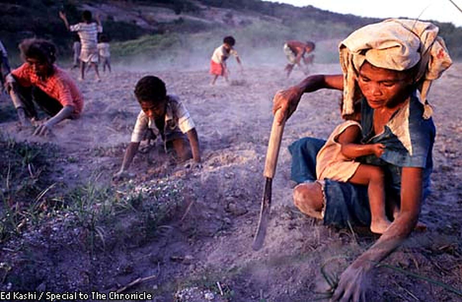 Tribe returns to old ways on Pinatubo / 1991 eruption drove Aeta away from  volcano