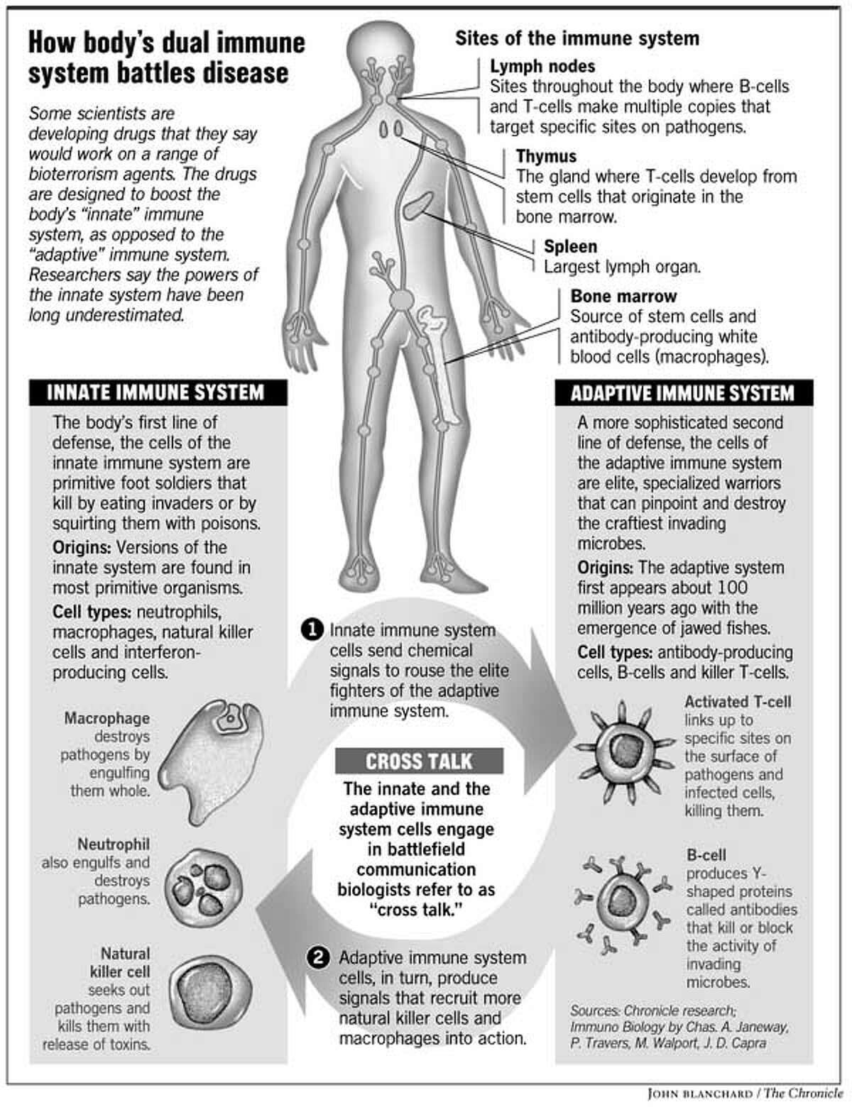 Searching For A Supervaccine   Scientists Turn To Primitive Side Of 