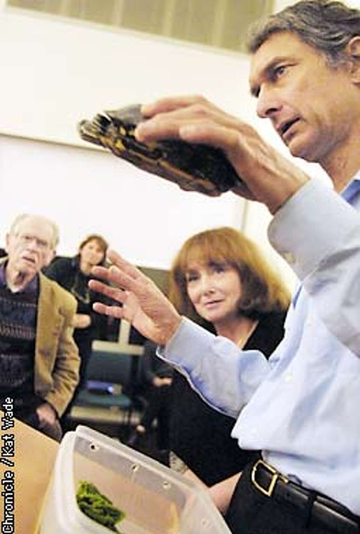 (L to R)Atheist's Ed Navas, Helene Knox and Henda (CQ) Lee, the President of Secular Humanists, look closely at a turtle Dave Seaborg, an atheist and research scientist from UC Berkeley brought as an example of one of the major problems for the extinction of many species, the introduction of non-native species into a habitat such as this Red Earred Slider, a turtle from the South Eastern US that has made its way into our local waters. Seaborg was the guest speaker at the atheist's celebration of Darwin's Birthday. SAN FRANCISCO CHRONICLE PHOTO BY KAT WADE