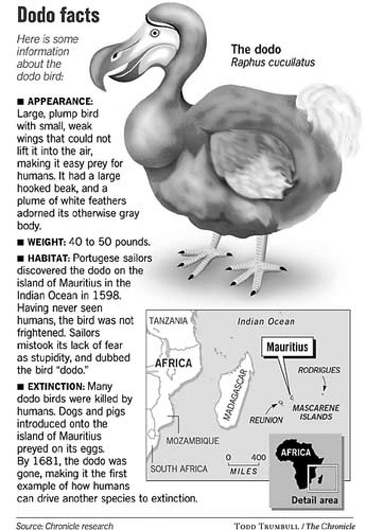 fun facts about dodo birds