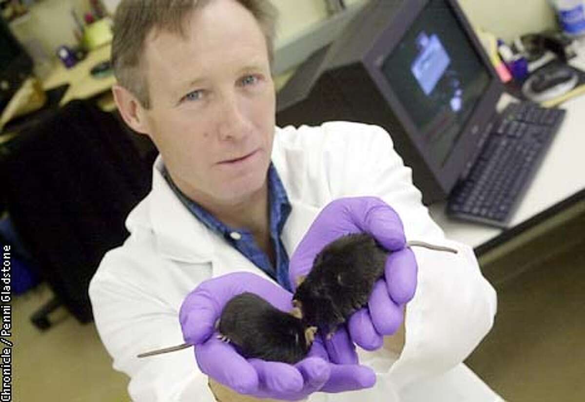 HEALTH / Medical Research / Decoding the mouse / Redwood City's