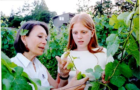Vintner made own dreams come true / Marimar Torres builds empire on her