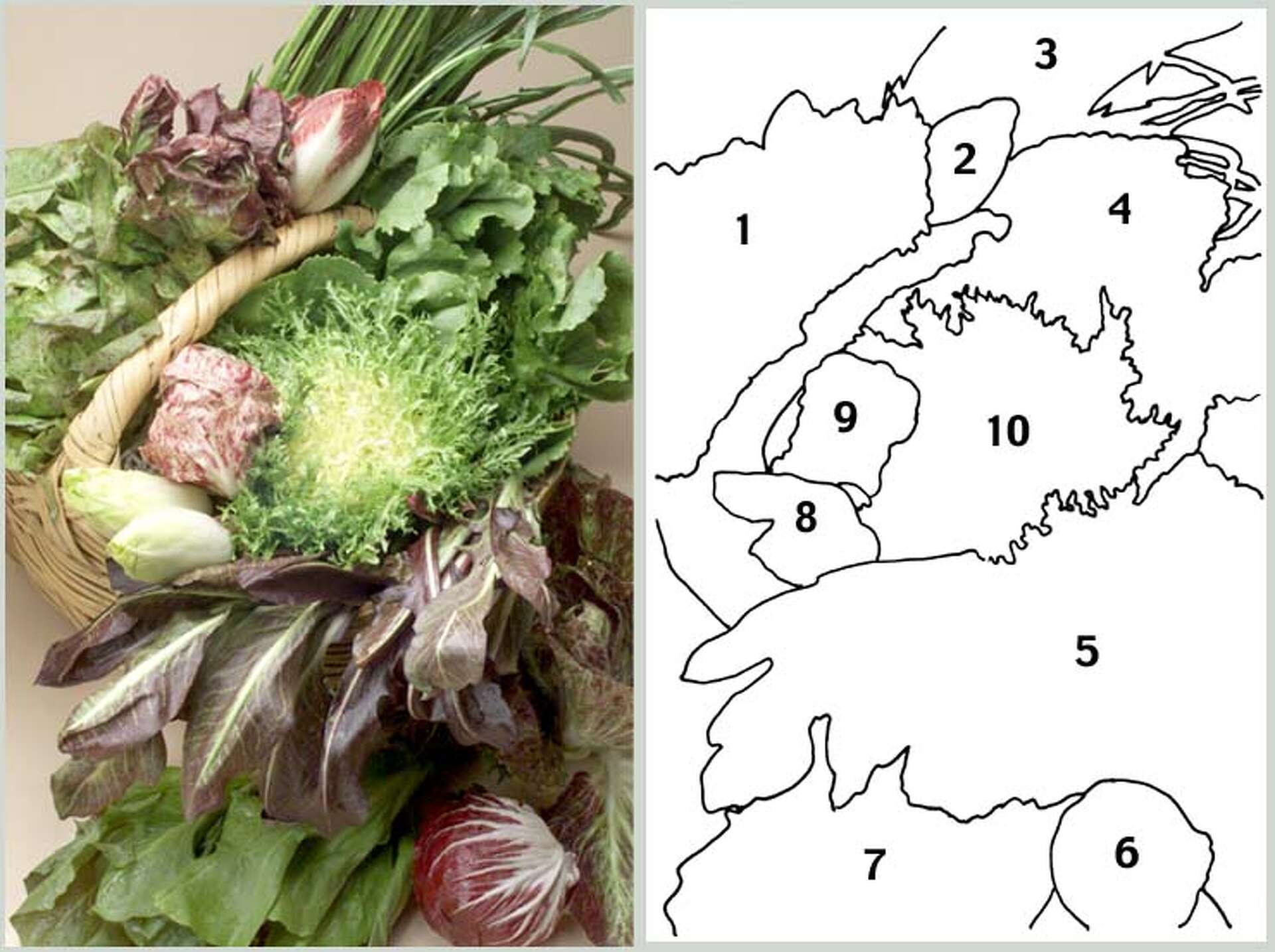 15 Awesome Italian Sandwiches, image size:1920x1435