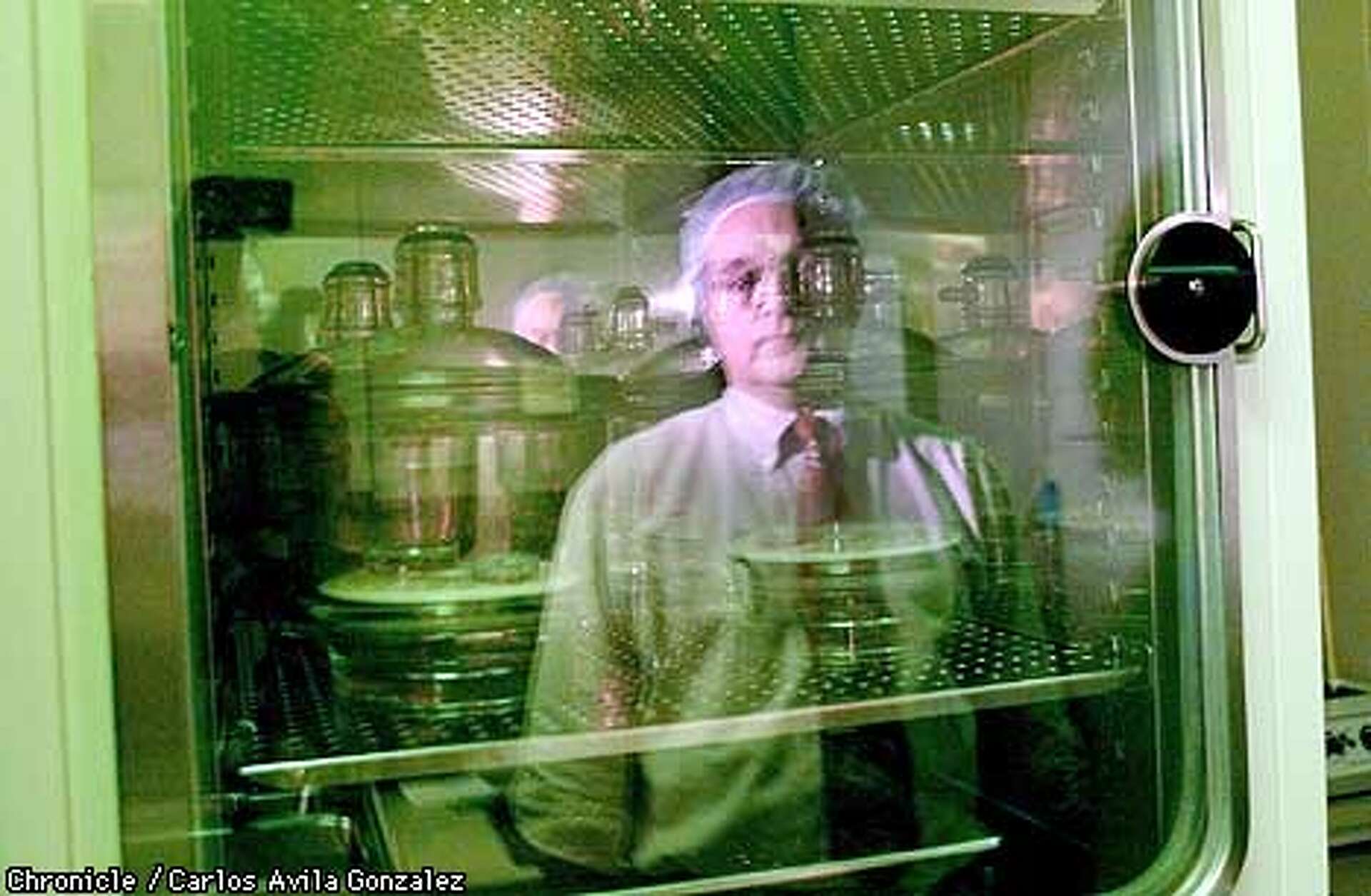 The forgotten embryo / Fertility clinics must store or destroy the ...