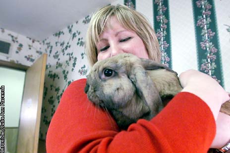 COMMUNITY / Rescue group hops to it to help rabbits