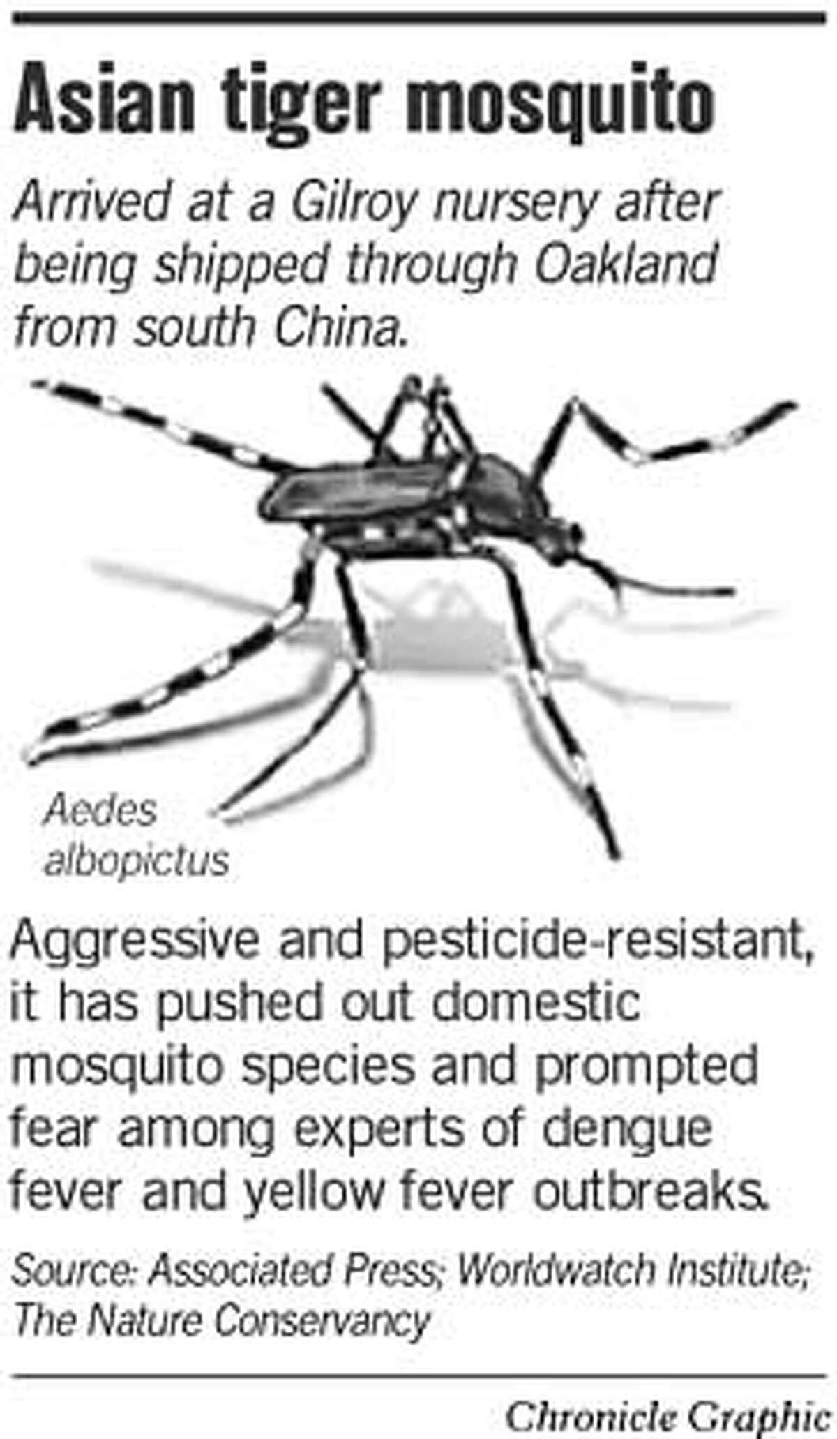 Tiger mosquito found in Gilroy disease host / Risky pest entered
