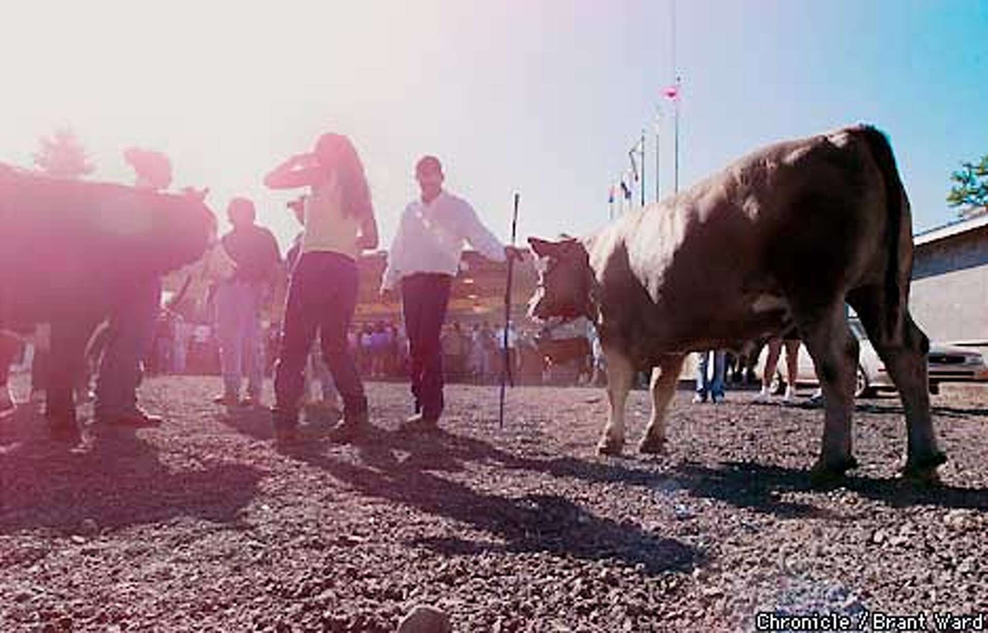 Fair weather fun / Attractions evolve, but county fairs still popular