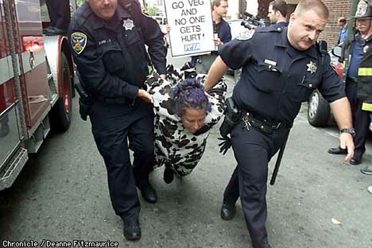 Officers from SFPD arrest Jennifer Schneider, 31, dressed as a cow from the roof of Burger King at Mission and 16th Streets in San Francisco. A hook and ladder truck was brought in to bring her down. This was part of a PETA protest about the mistreatment of animals by Burger King. CHRONICLE PHOTO BY DEANNE FITZMAURICE
