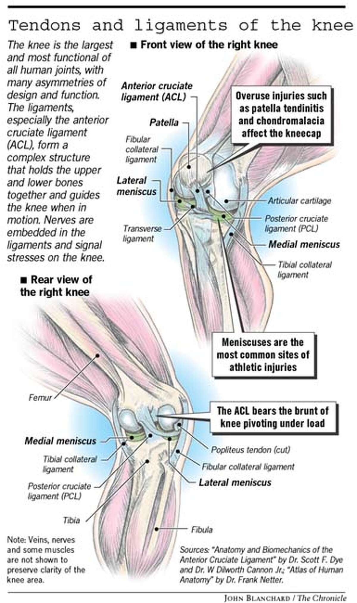 Know Thy Knees / They Can Take A Lot Of Strain But Need Their Rest