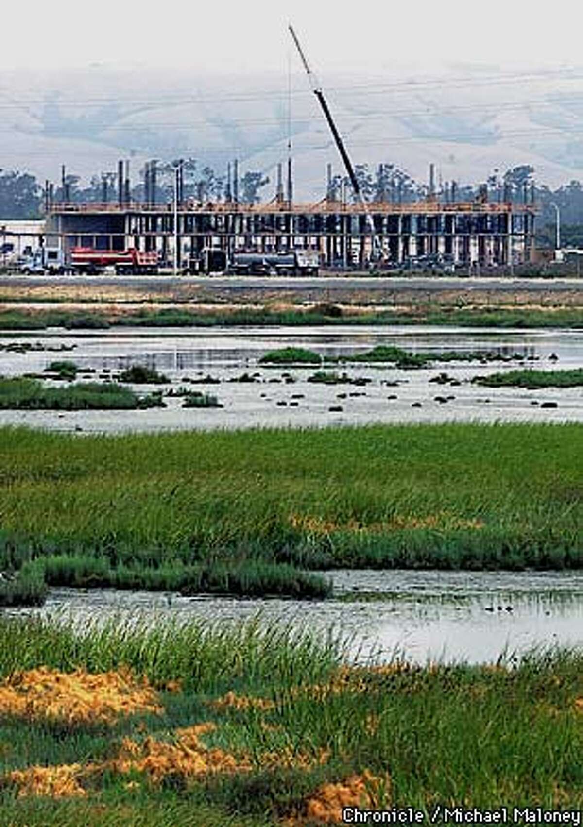 New construction near San Francisco Bay National Wildlife Refugee near Newark has encroached on the wetlands. Experts maintain the expansion of these wetlands is necessary for the restoration of the bay. Chronicle Photo by Michael Maloney