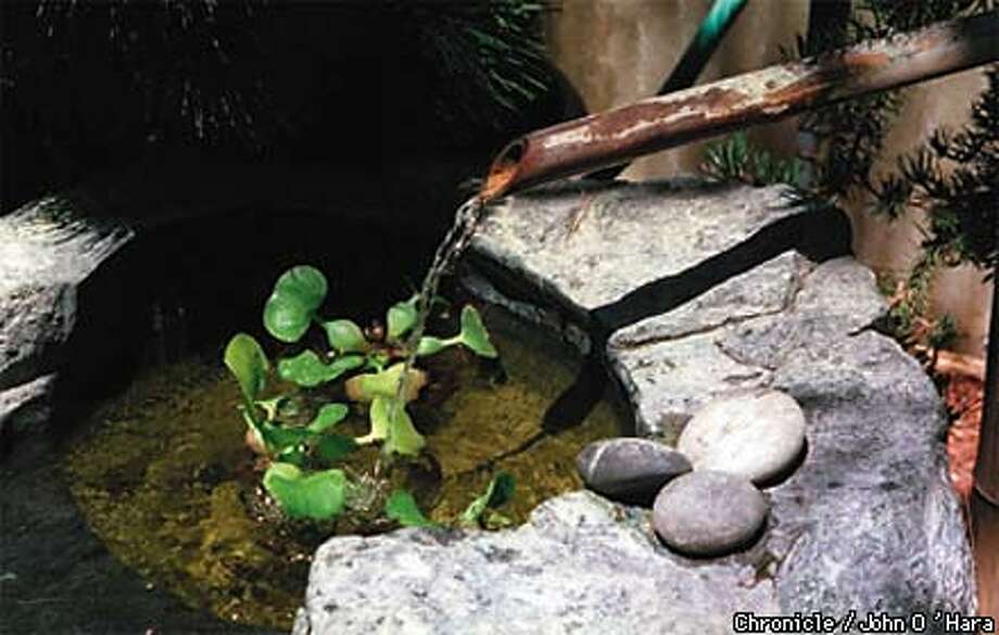Water Everywhere The Fastest Growing Garden Idea Glitters Smooth Bamboo Stone And Water Combine Well At Mcallister Gardens Chronicle Photo