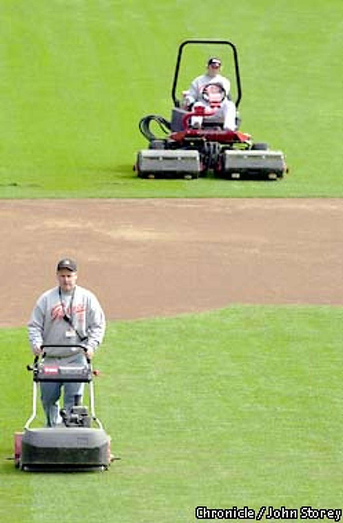 The lowmaintenance lawn