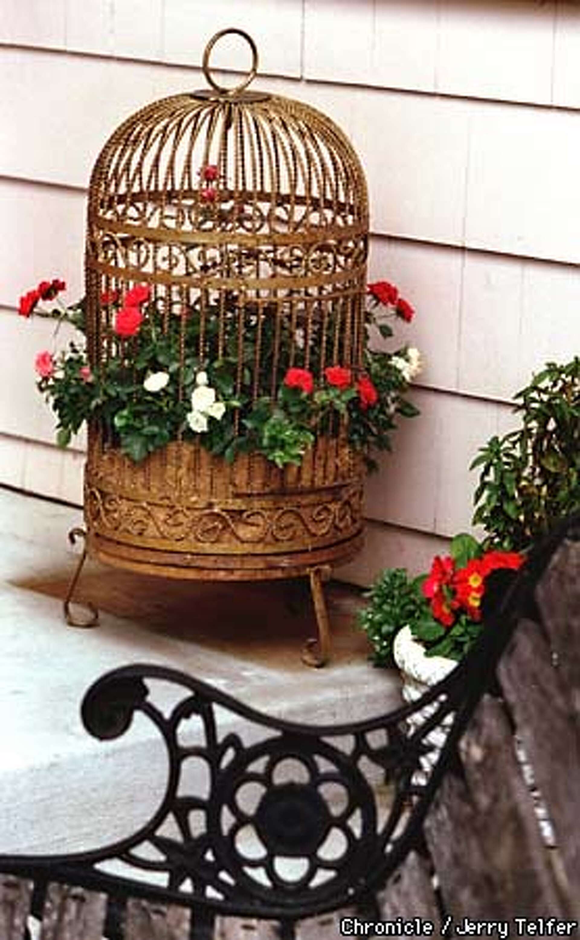 The Begonia in the Gilded Cage / Bird cages make unusual planters