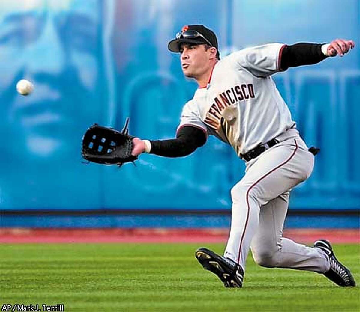 San Francisco Sea Lions Baseball Club : Californias best road club