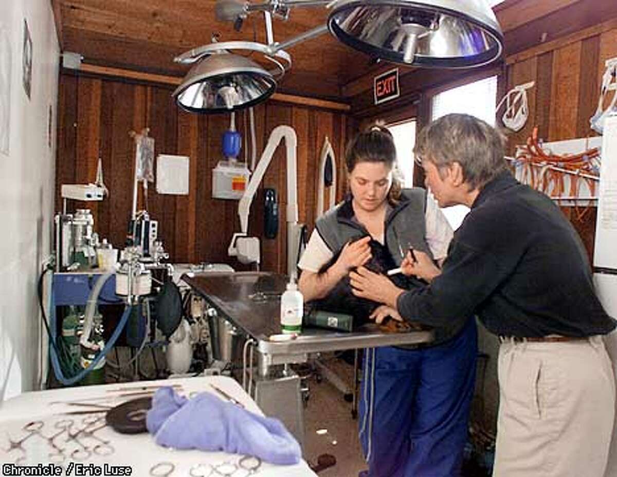 Blackouts Across California After PG&E Can't Pay Bills / ROLLING