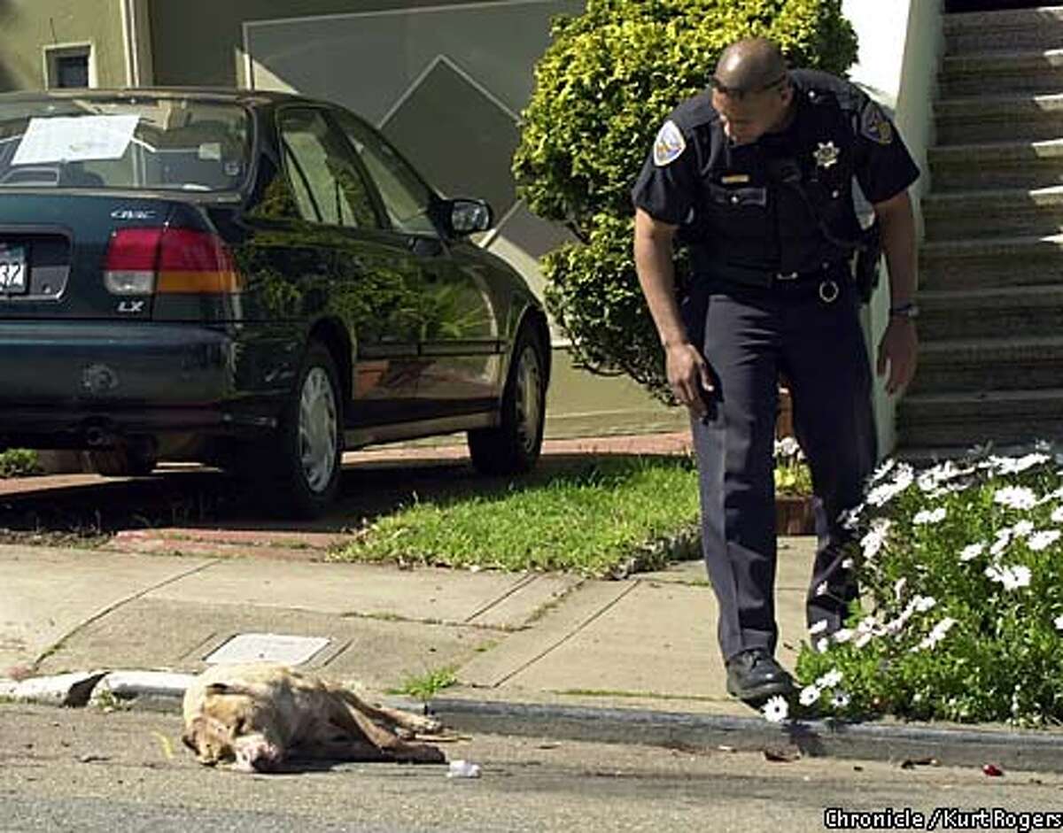 S F Police Shoot Pit Bull S F Officers Fire 30 Bullets To Kill Pit   1200x0 