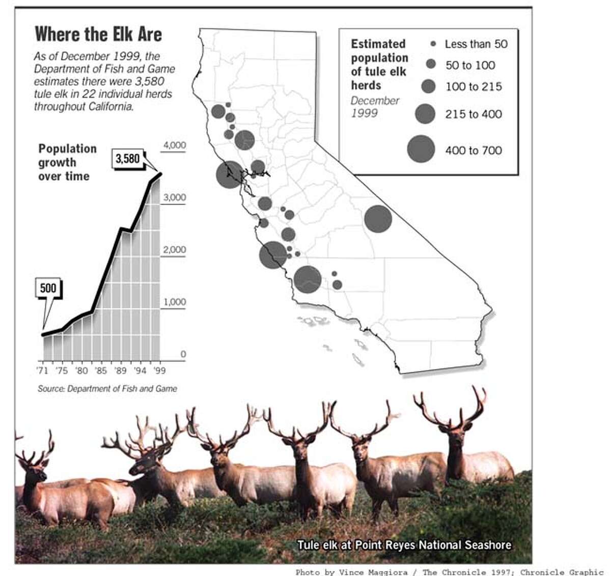 State's Tule Elk Herds Running Out of Room / Running Out of Room to ...