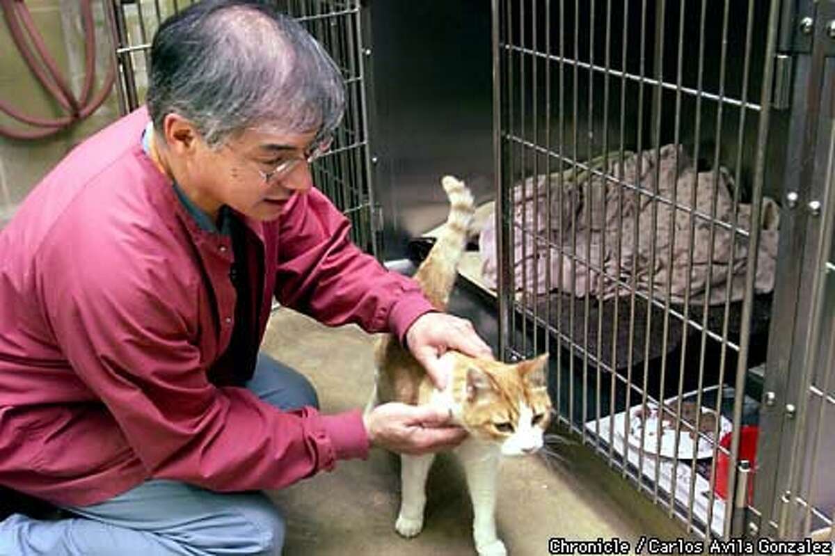 31 Best Photos Pacifica Pet Hospital Vaccine Clinic : Eugene Pet Resources Sheltercare