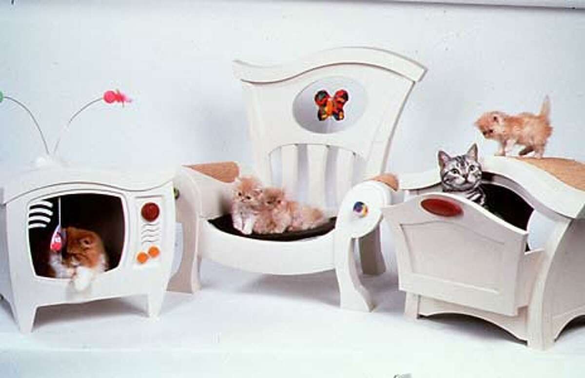 kitty furniture