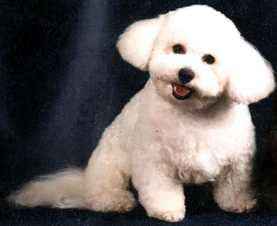prosecutors have suspect in dog road rage death man already