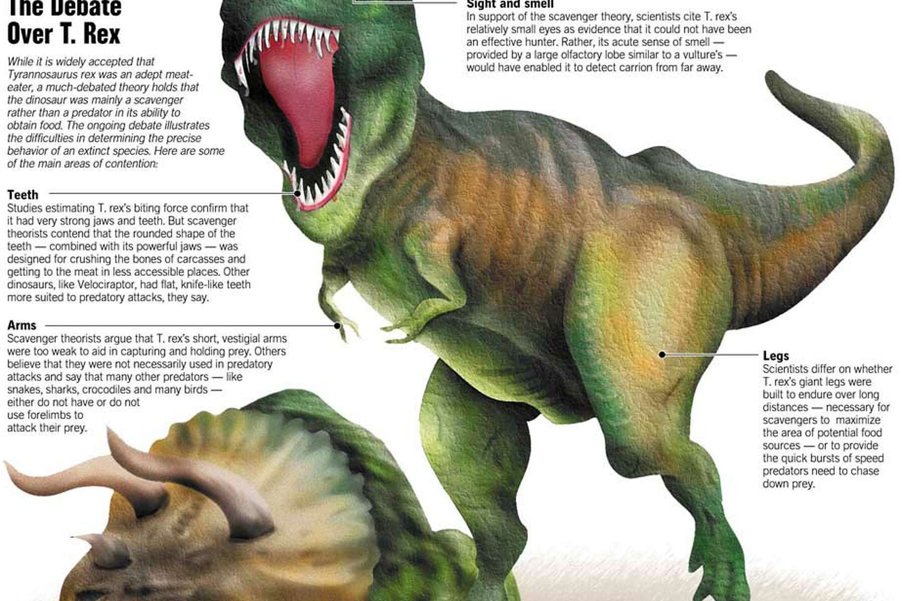 8 Facts About the Fearsome T. Rex