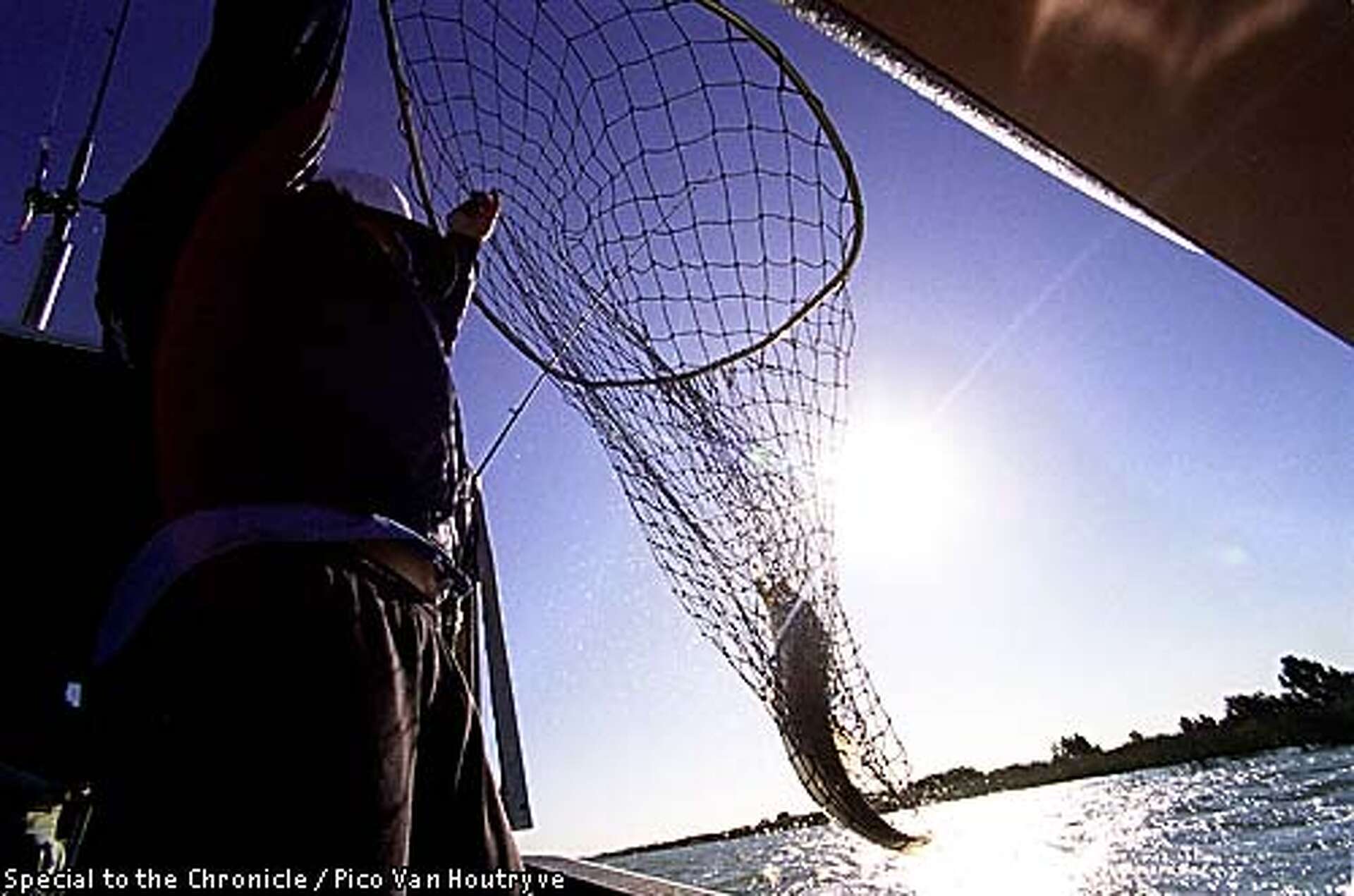 Delta Is a Big Lure for Bass, Anglers / Fishing derby among highlights near  Rio Vista