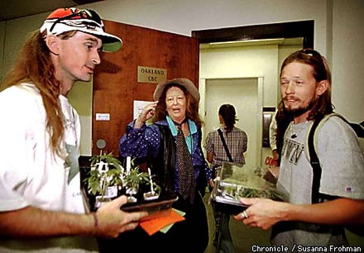 Elaine O'Meara-Stark, center, joined Steven Wilson, left and Tim Hutchinson, right, in saying goodbye to administrative employees at the Oakland Cannibus Buyers Cooperative Monday afternoon in Oakland. All three patrons were at the Cannibus Buyers Cooperative as it was being closed. Both Wilson and Hutchinson carried with them young marijuana plants that employees of the CBC gave them for free. (CHRONICLE PHOTO BY SUSANNA FROHMAN)