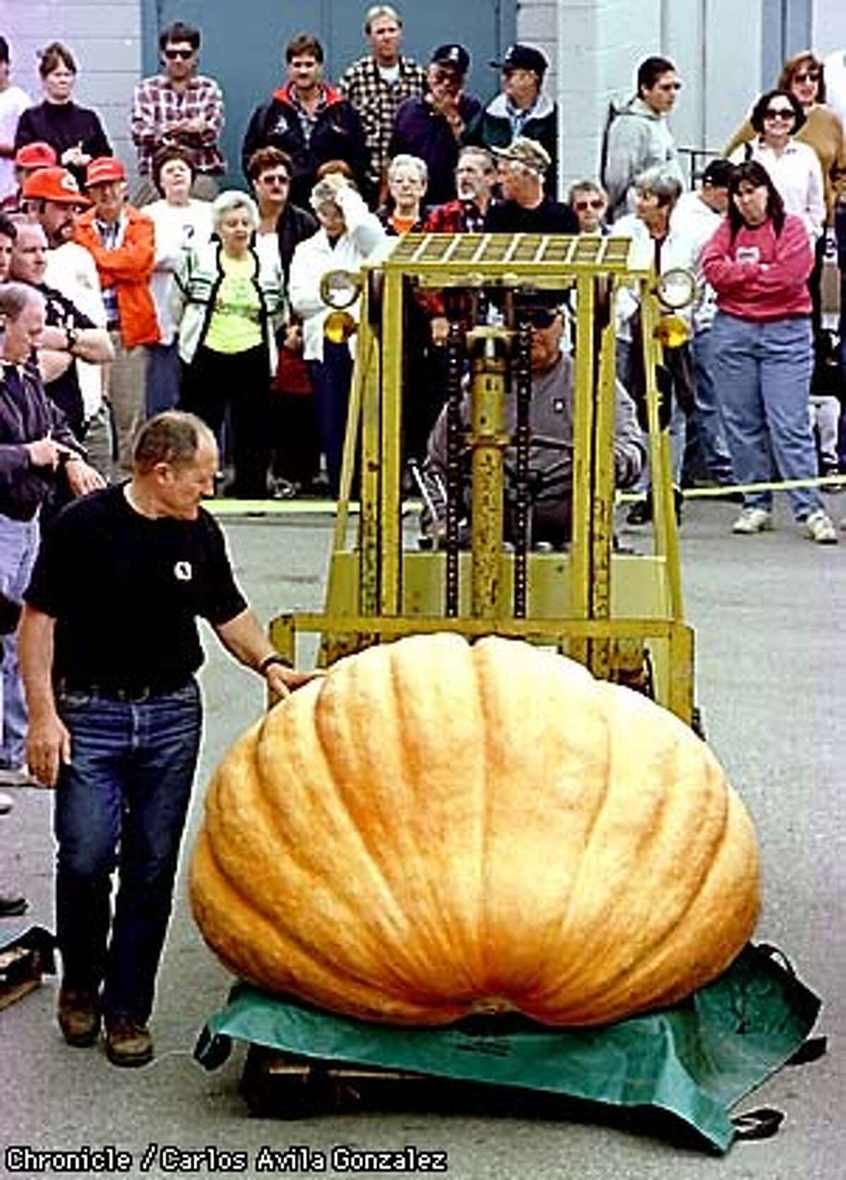 Weighty Winner / 974pound pumpkin takes honors in Half Moon Bay