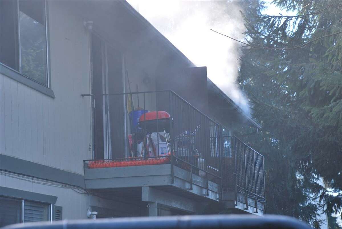 Dog killed in Kent apartment fire