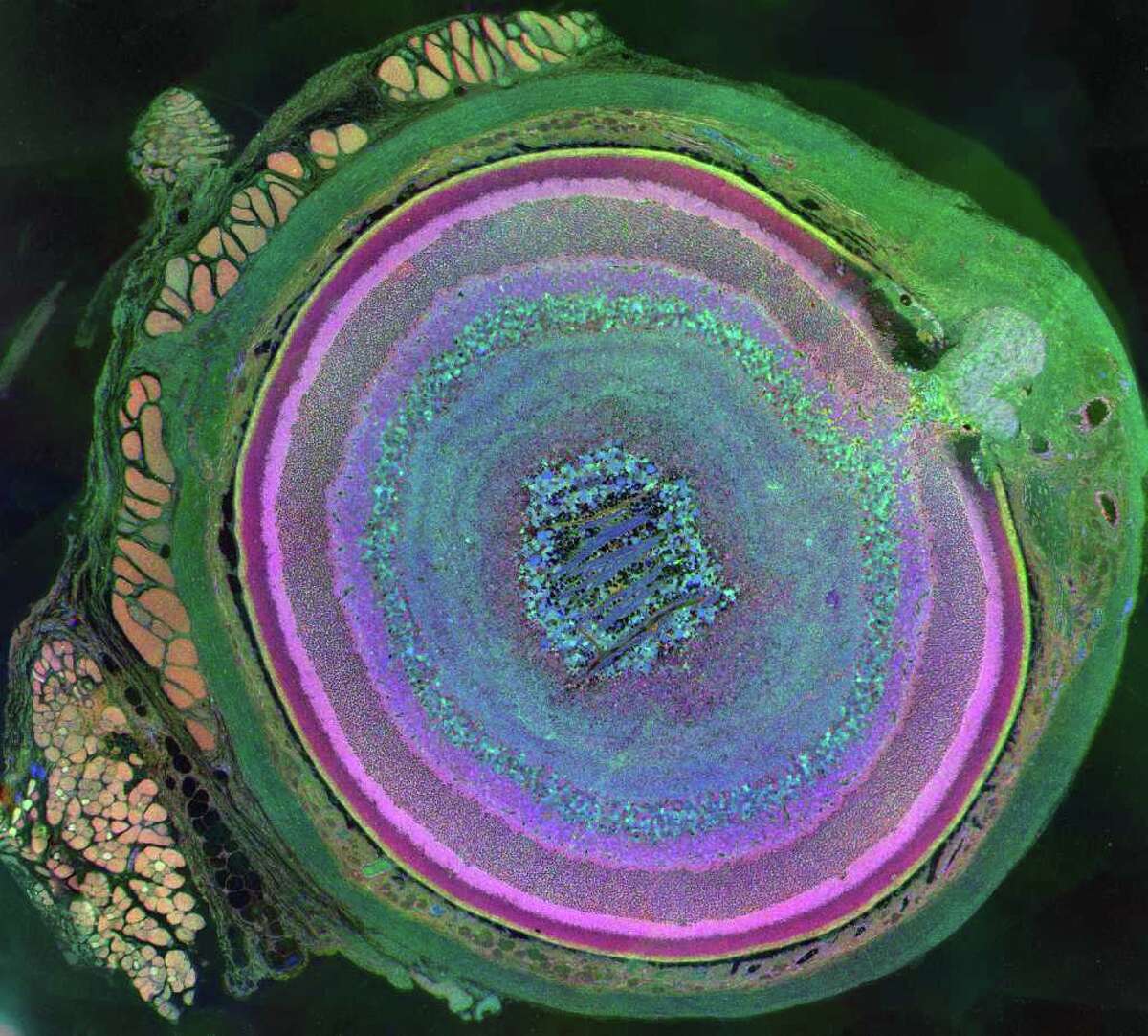 Nerd alert! Cool science photos