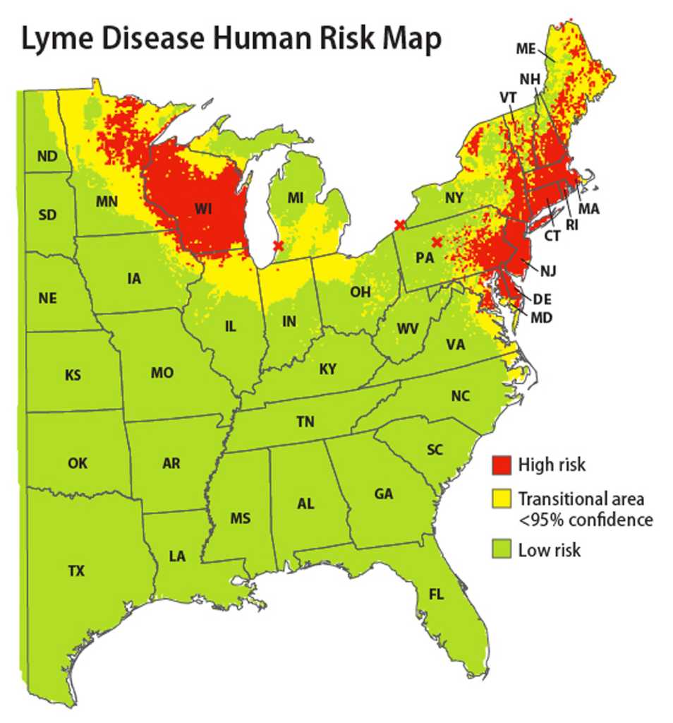 Map Reveals Lyme Disease Risk Areas RawImage