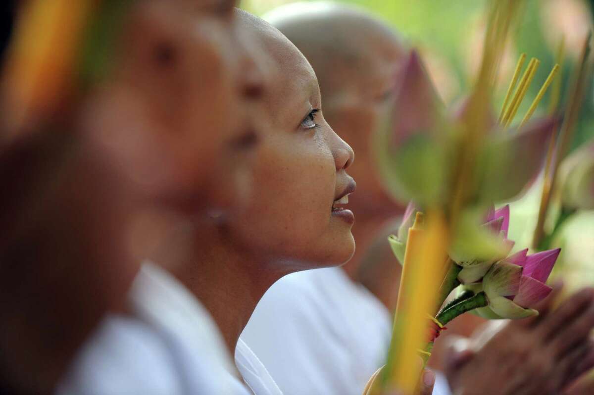 Swim with the manatees