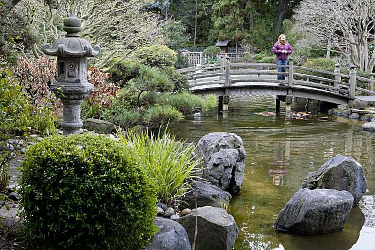 Japanese Tea Garden, San Mateo Haven amid hubbub