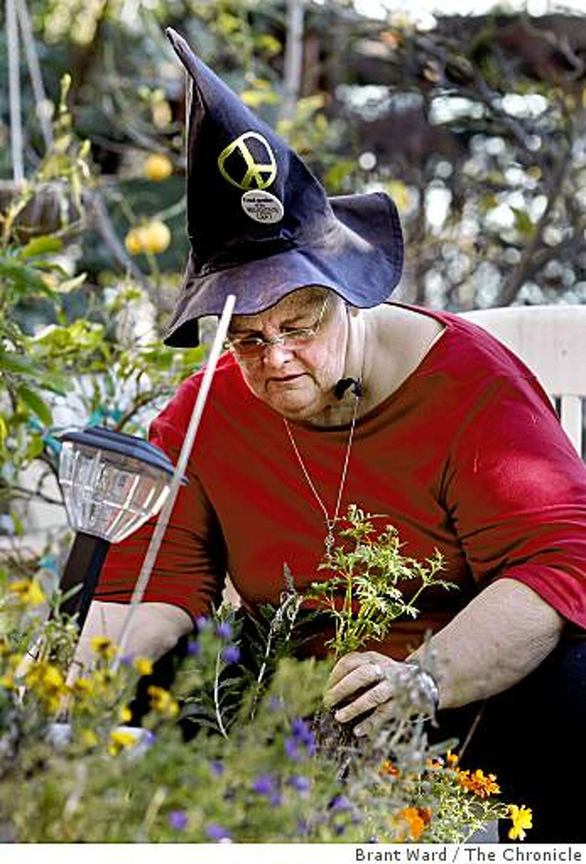 Victoria does some container planting in her backyard, which is covered with flowers. Victoria Slind-Flor, a veteran witch from Oakland, has been named the Keeper of the Light at this years 8th annual Pagan Festival in Berkeley.
