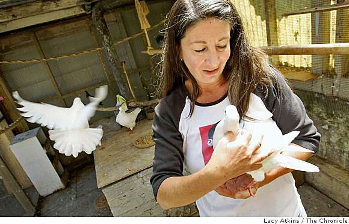 Elizabeth Young tends to her pigeons in their pin in her backyard at her home, Sunday April 12, 2009, in San Francisco, Calif. She feeds and cares for most of them until she can get them adopted.