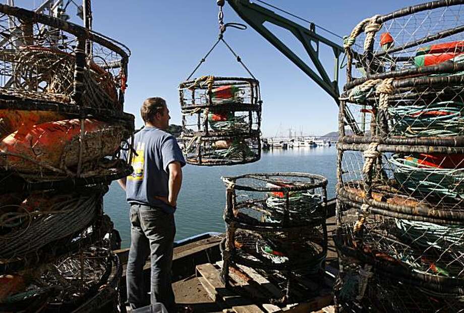 Robust Dungeness crab season expected - SFGate