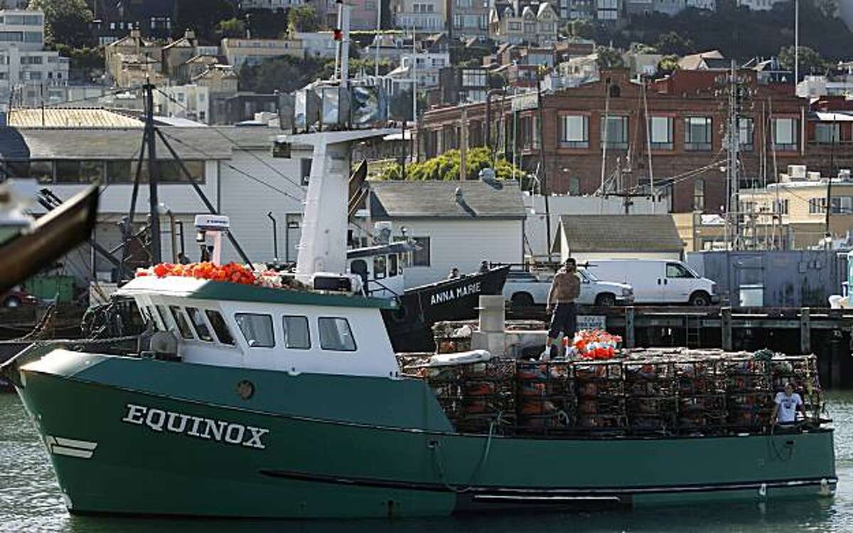Robust Dungeness crab season expected