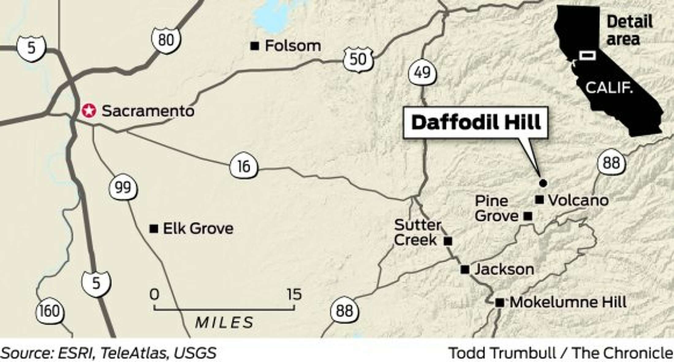 Go now Daffodil Hill and Sutter Creek