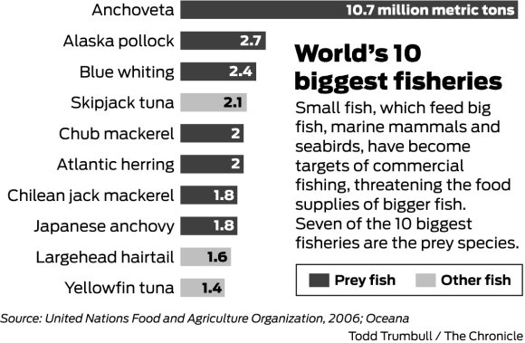 Overfishing imperils ocean life, study says