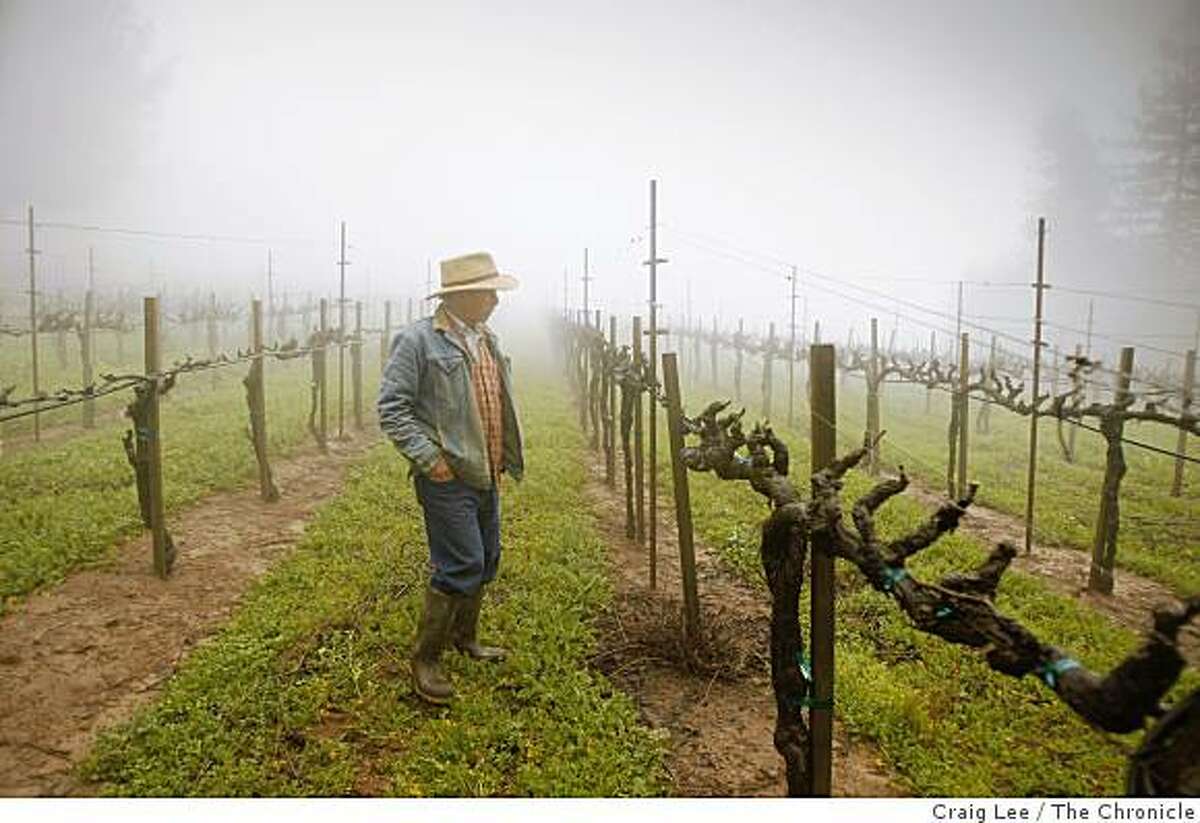 David Hirsch in his "Old Vineyard" he planted in 1980 at his Hirsch winery in Cazadero, Calif., on February 23, 2009.