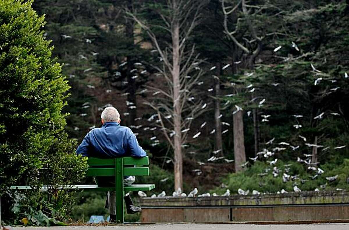 An unidentified man enjoys the weather as the birds fly above Stow Lake in Golden Gate Park, Monday Oct. 27, 2008, in San Francisco, Calif.