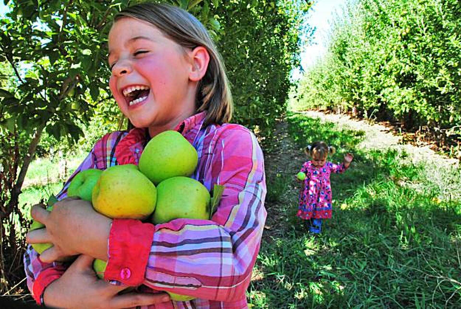 Apple Hill, Calif., celebrates autumn harvest