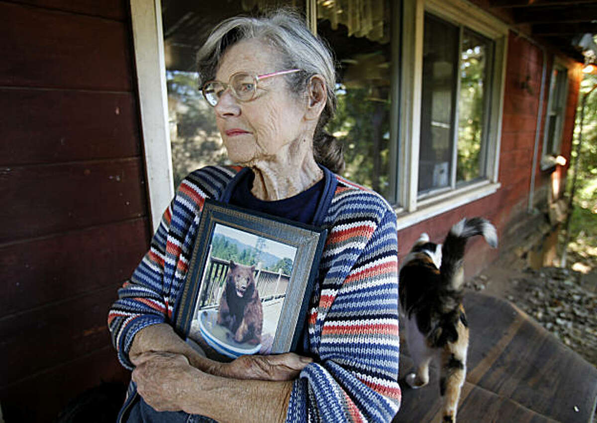 Lynne Gravier holds a portrait of one of her favorite bears named Biggie, who used to visit and sit in a pool on the deck of her home. Lynne Gravier, a Mendocino County woman who has been feeding bears for many years, had her home raided by state Fish and Game officials and has had to vacate her place above Laytonville, Calif.