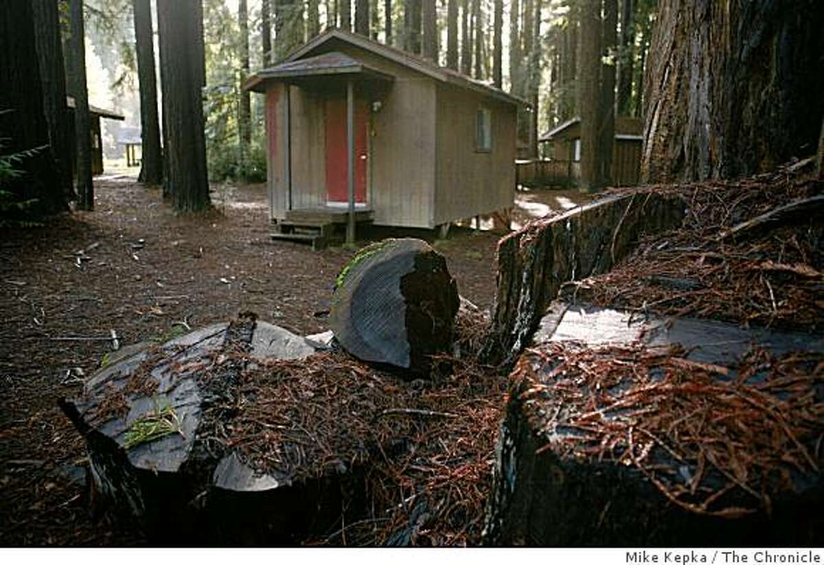 Stumps of 300 year old redwood trees that were logged 3 years ago rest in front of a Boy Scouts sleeping structure during the off season on redwood laden grounds of Camp Masonite Navarro on Monday Dec. 22 ,2008 in Navarro, Calif.