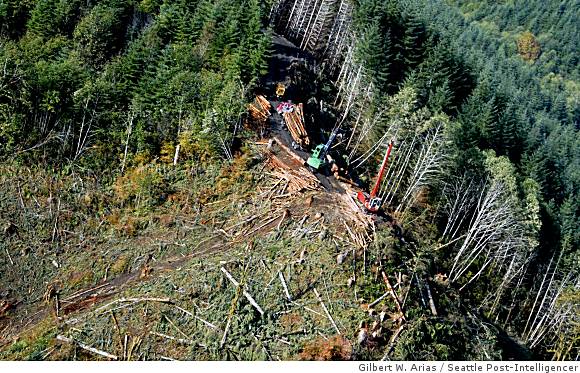 Scout councils defend logging of their lands