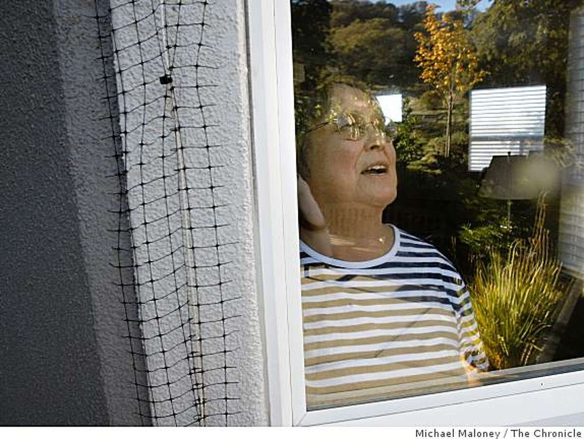 Rossmoor resident Vickie Hipkiss who lives on High Eagle Court looks out her window which is surrounded by netting to keep out woodpeckers. She and other residents have been having the eaves and window sills of their homes destroyed by woodpeckers who are storing their acorns in the holes they make. Rossmoor is considering shooting some of the birds.
