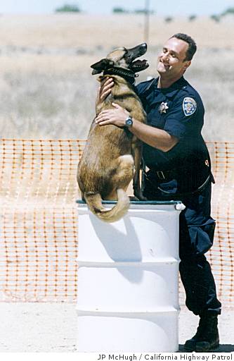 Honor marks final farewells to police dogs