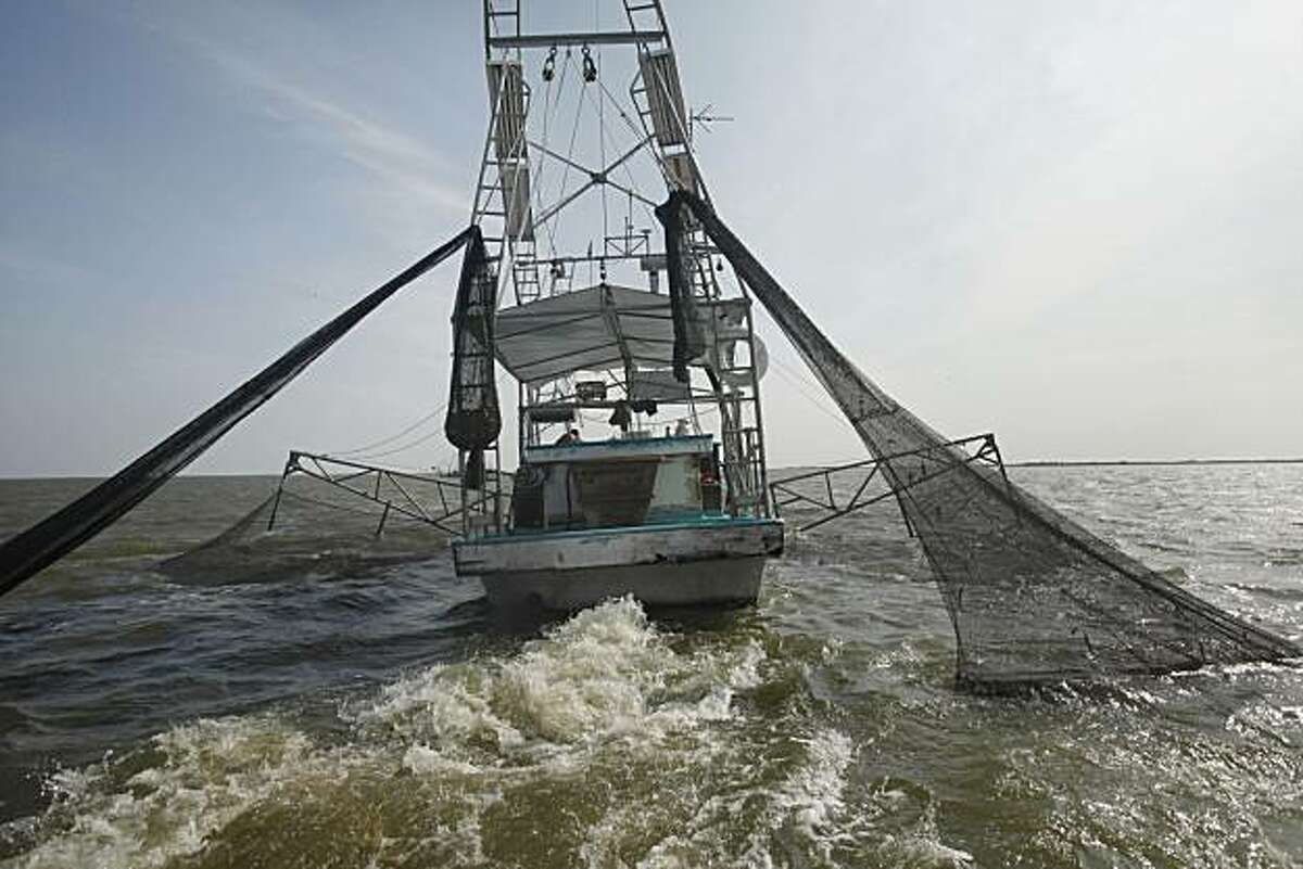 Louisiana shrimping season reopens after spill